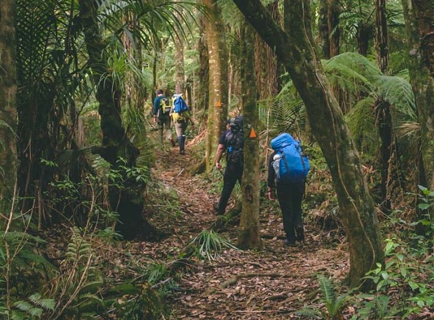 Pirongia