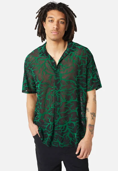 Translucent green button up